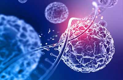 先天性肾发育不良与分子生物学的研究